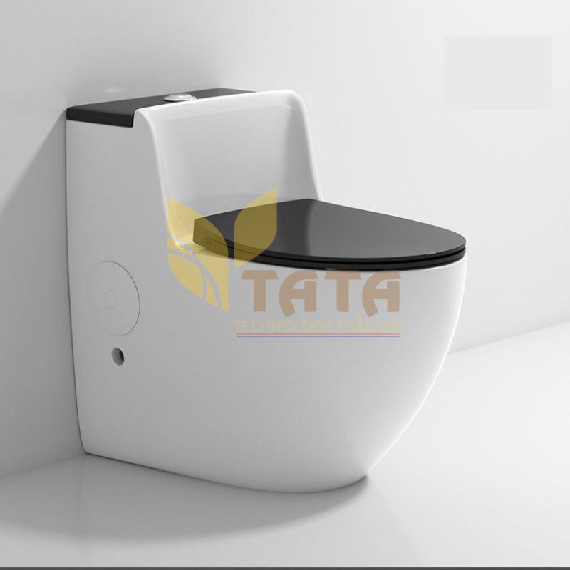 Bồn Cầu 1 Khối  Cao Cấp TATA BC6842