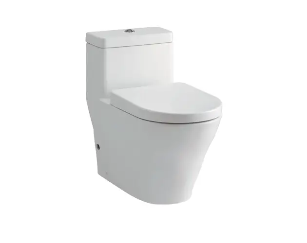 Bàn cầu một khối CW166RB