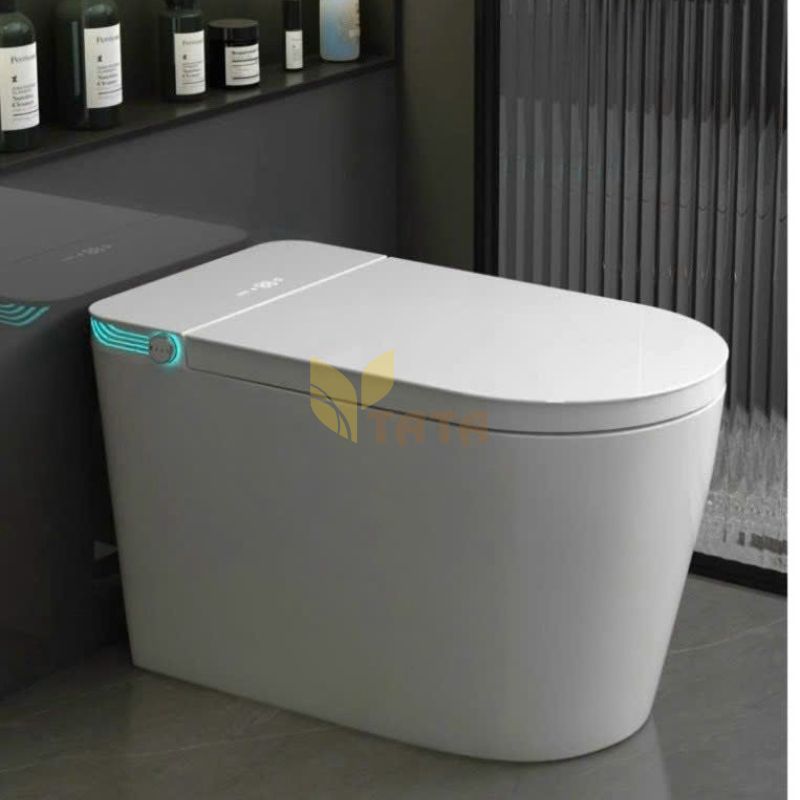 Bồn Cầu Thông Minh TATA BC6881